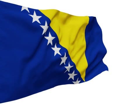 The Ambassador-designate of Bosnia and Herzegovina, H.E. Mr Haris , NEW DELHI EMBASSY, info@embassybih.com 